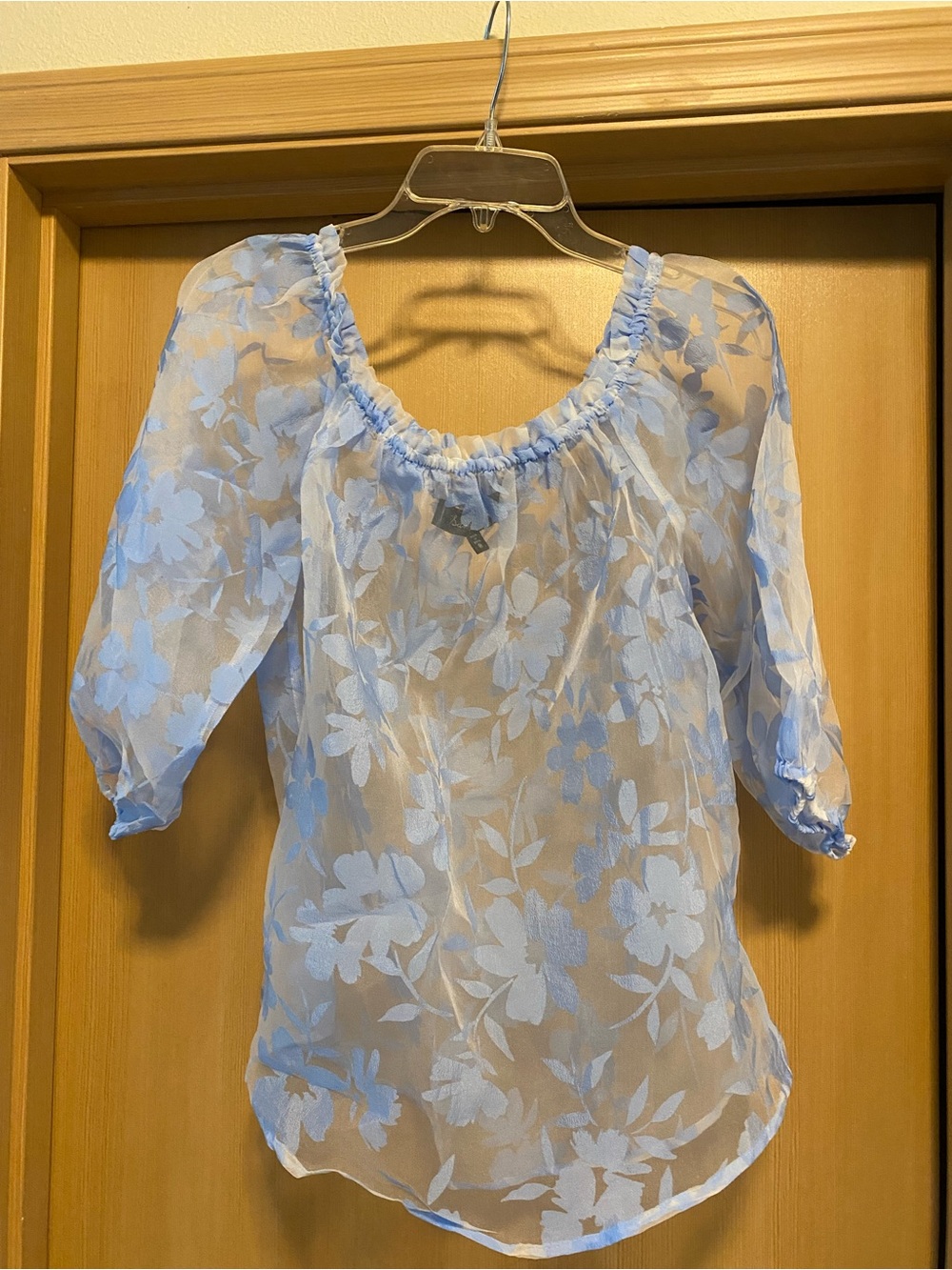 Sheer Light Blue Floral Peasant Blouse for Women